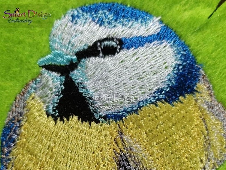 BLUE TIT Photo Stitch Bird