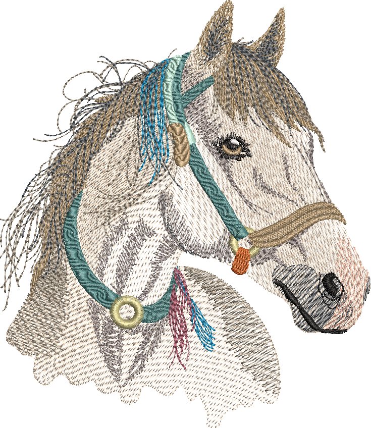WESTERN HORSE - Cowboy / Cowgirl